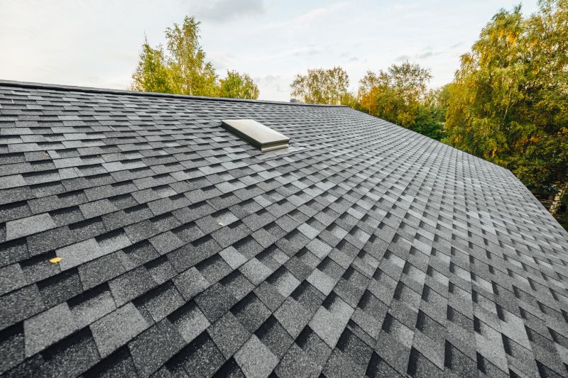 Roofing Materials Consultation